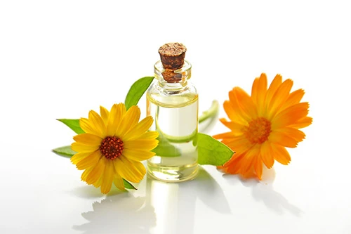 Herbal Medicine / Supplements